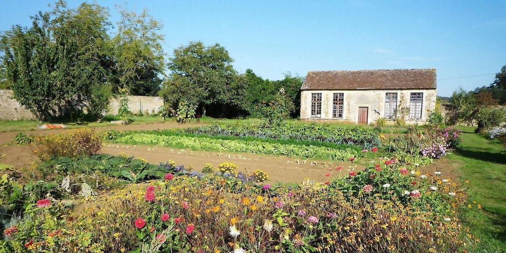 Bed and Breakfast Chateau De Cheronne Tuffé Exterior foto