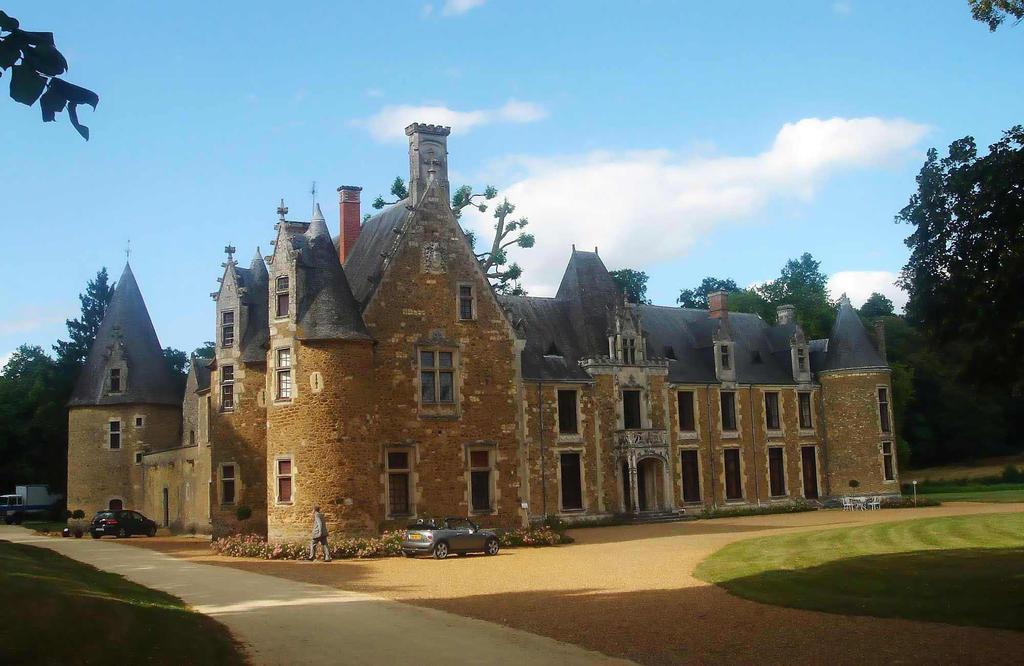 Bed and Breakfast Chateau De Cheronne Tuffé Exterior foto